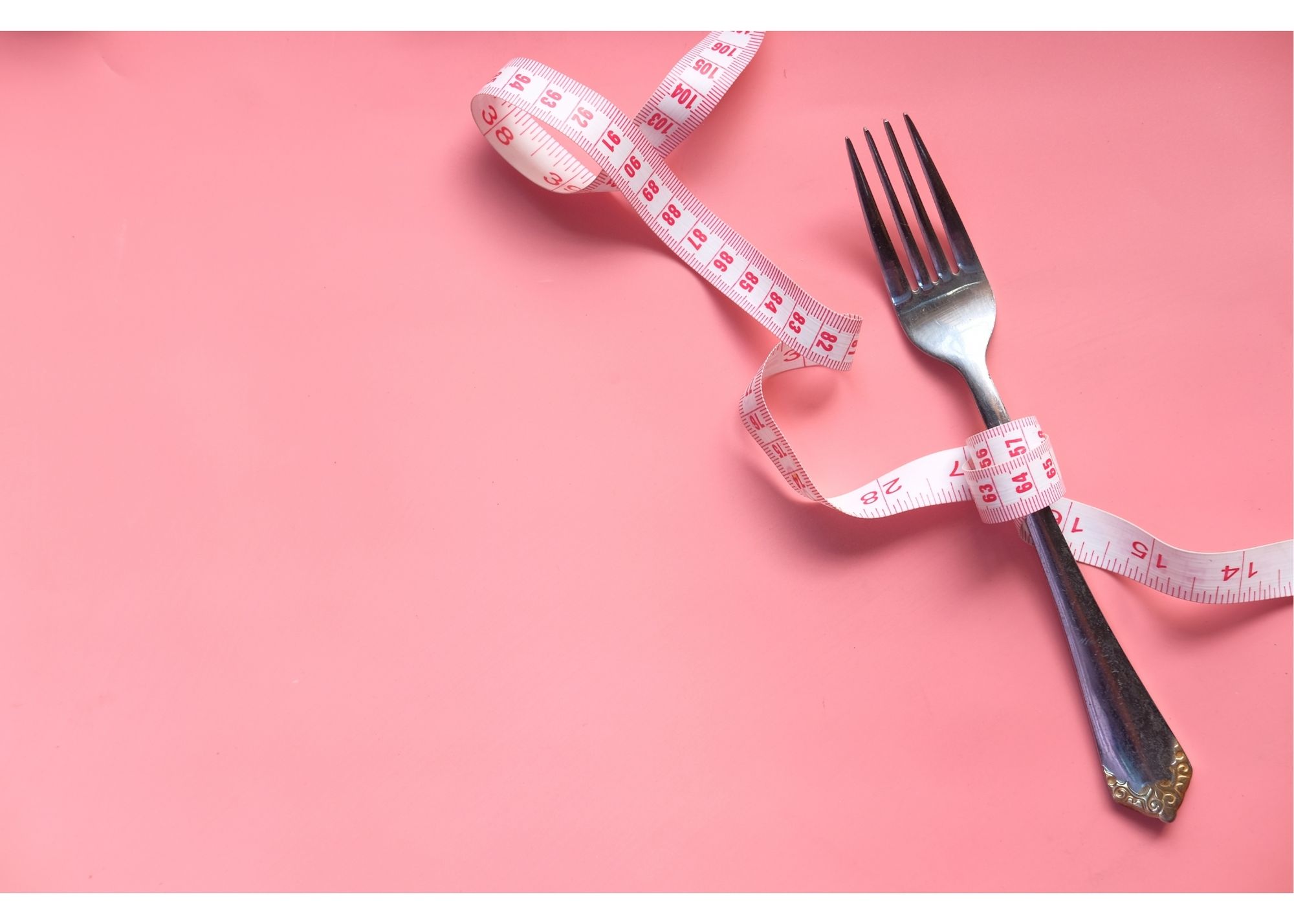 What Does A Fork Mean In Crypto?