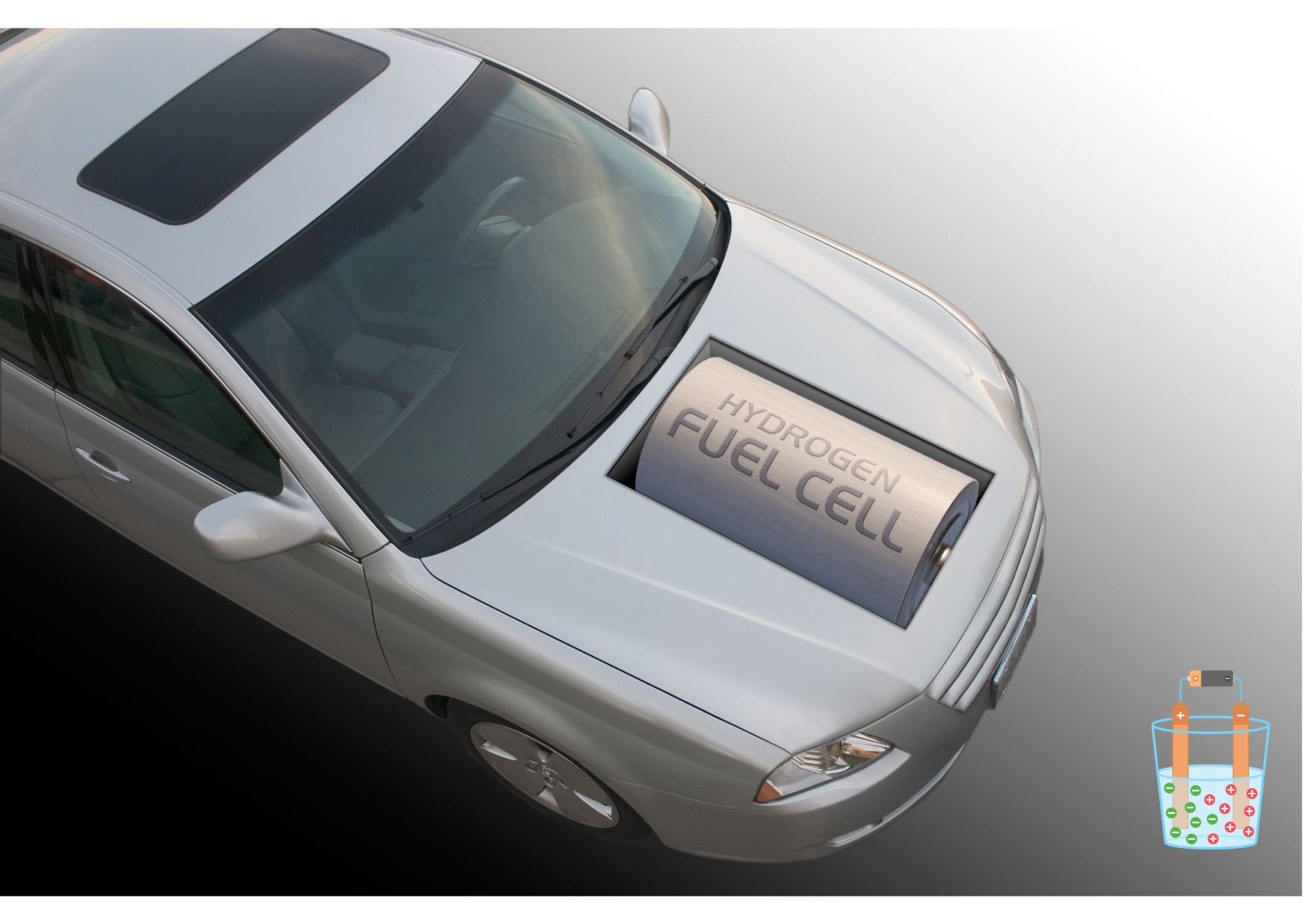 3 HighRisk, HighReward Stocks for Bold Investors